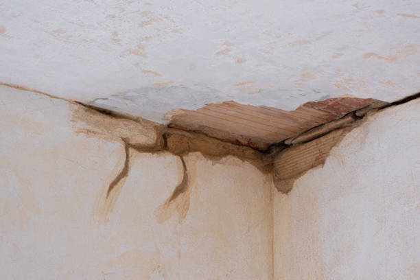 Best Ceiling water damage repair  in Huron, SD