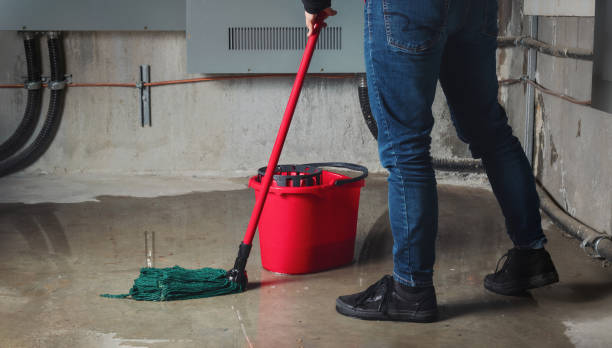 Best Flood restoration services  in Huron, SD