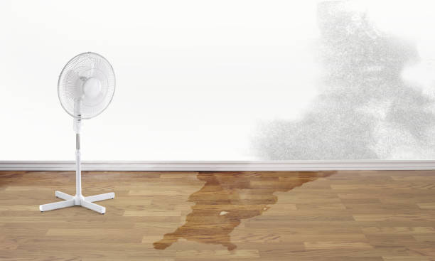 Best Water damage restoration specialists  in Huron, SD