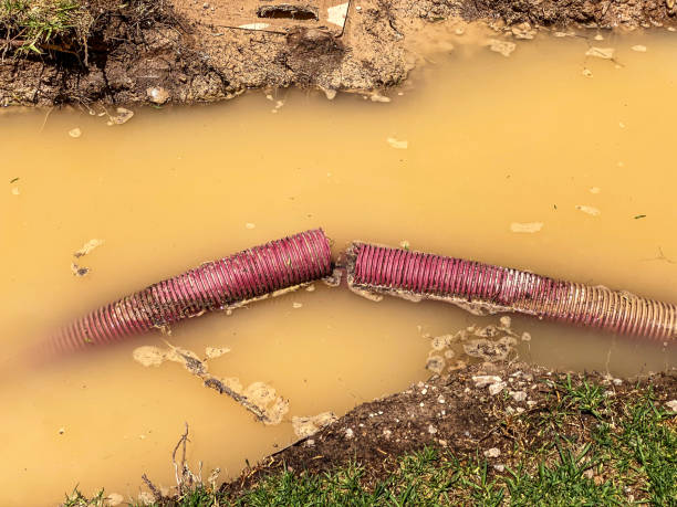 Best Residential water damage restoration  in Huron, SD