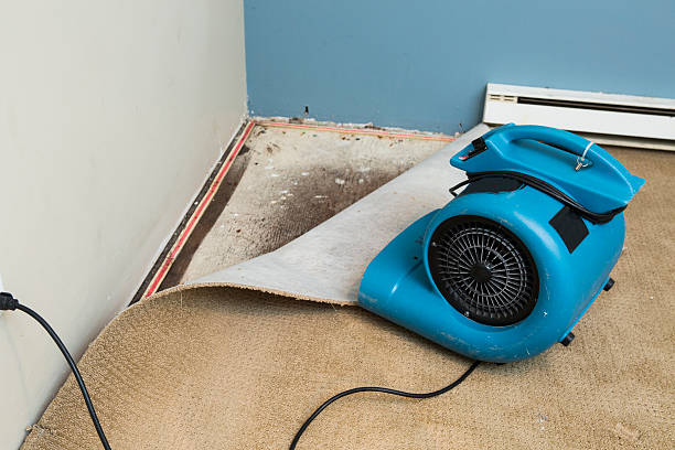 Best Flood damage cleanup  in Huron, SD